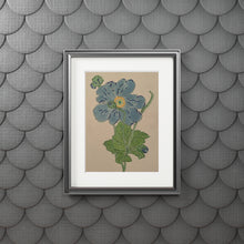 Load image into Gallery viewer, Blue Flower Fine Art Prints
