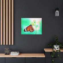 Load image into Gallery viewer, Butterfly Water Color
