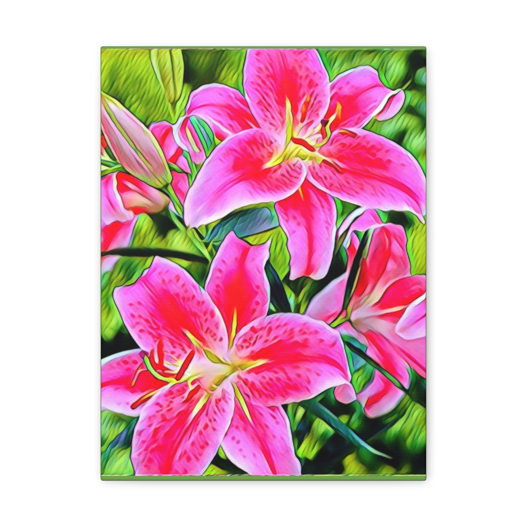 Stargazers with a Twist