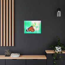 Load image into Gallery viewer, Butterfly Water Color
