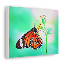 Load image into Gallery viewer, Butterfly Water Color
