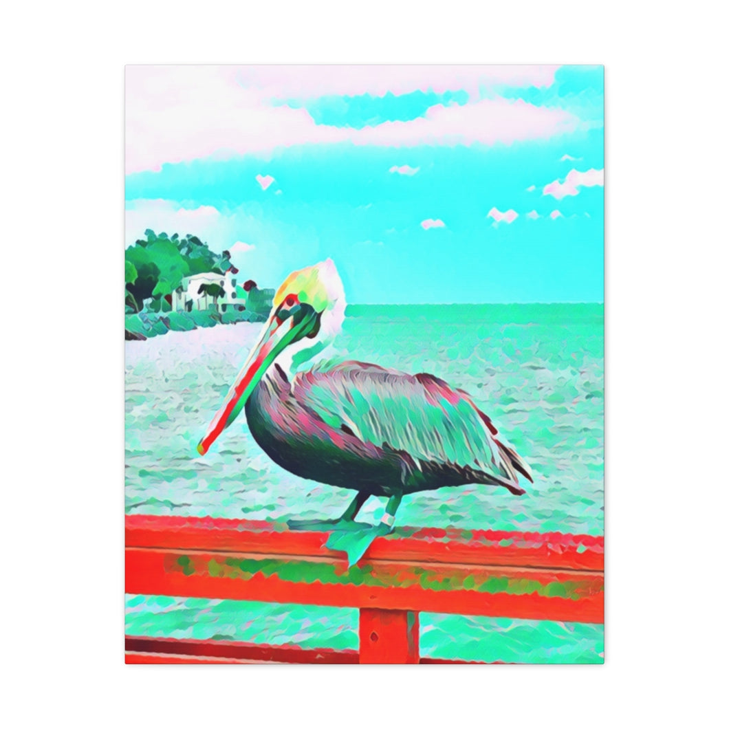 St. Simons Pelican