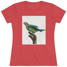 Load image into Gallery viewer, Vintage Green Parrot
