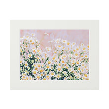 Load image into Gallery viewer, Field of Chamomile Fine Art Prints
