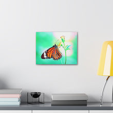 Load image into Gallery viewer, Butterfly Water Color
